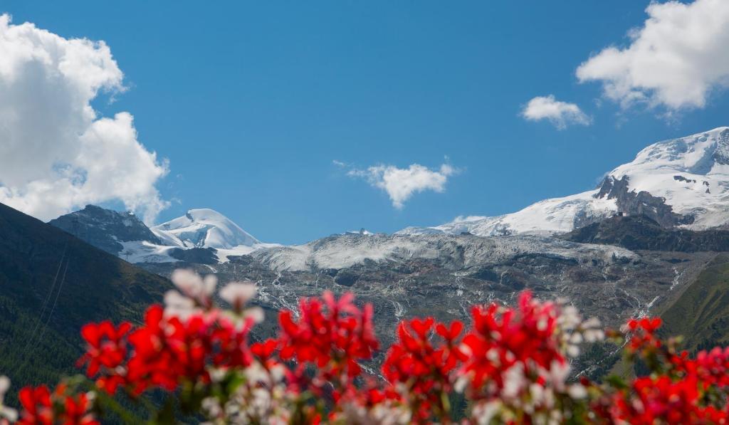 Artemis Easy Stay Self Check In-Out Saas Fee Szoba fotó